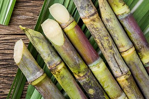 Milling sugar cane