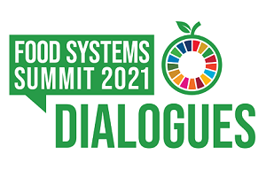 The United Nations Food Systems Summit